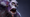 Witch Doctor