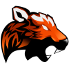 Majestic Esports