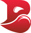 Bleed Esports