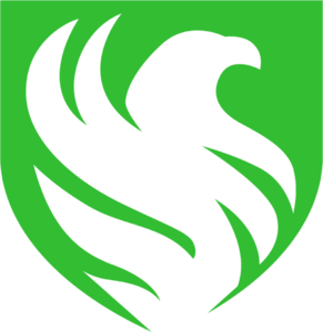 Team Falcons