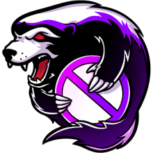 Outsiders (Virtus.pro)