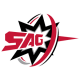 Sparking Arrow Gaming