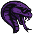 Team Cobra