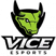 Vice Esports